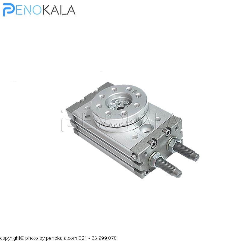 Pneumatic-Rotary-Table-Cylinder-SMC-