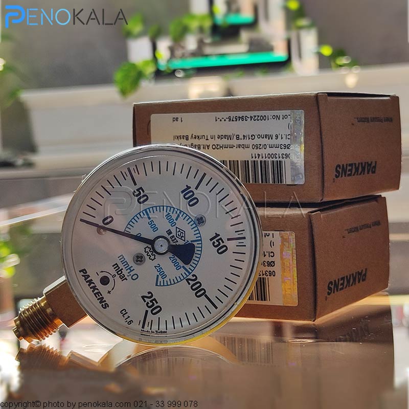 PAKKENS Pneumatic Diaphragm Pressure Gauge