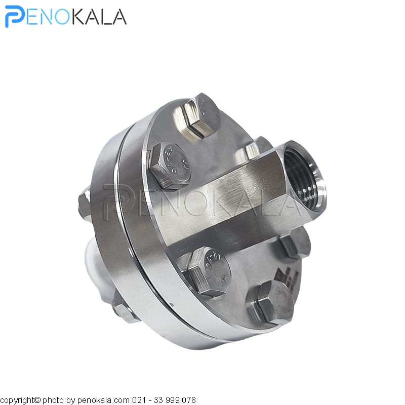 WIKA 990.10 Diaphragm Seal for Pressure Gauge