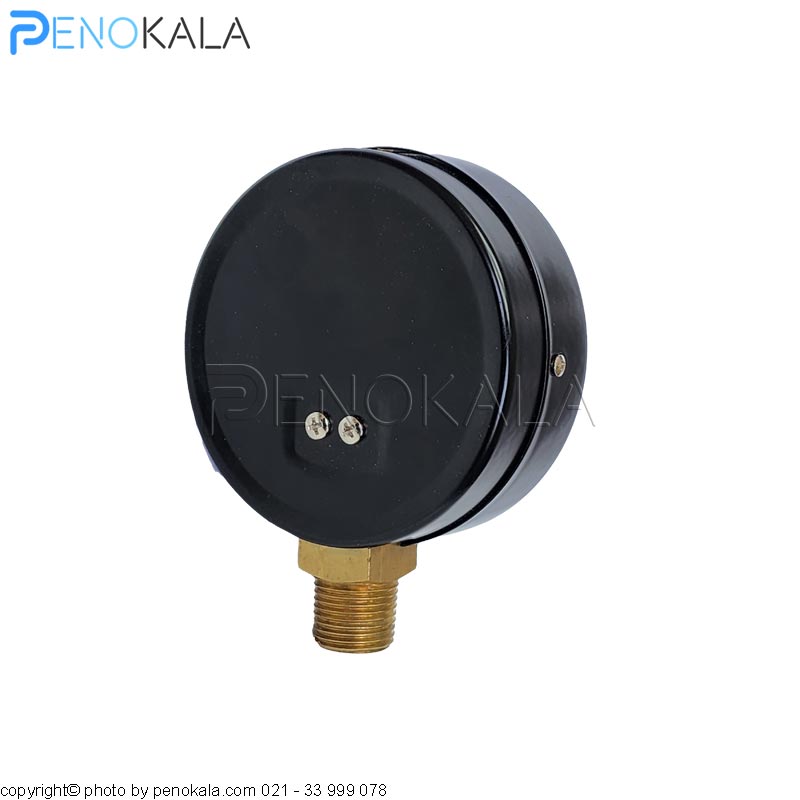 wika-pressure-gauge-pg11lf