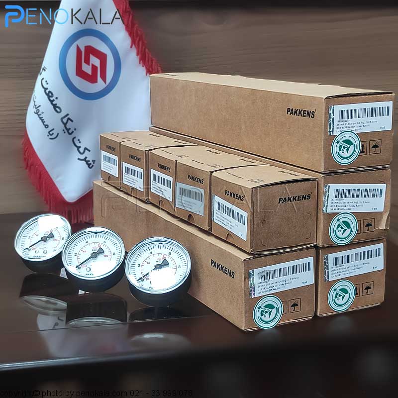 PAKKENS MG Series Pressure Gauge (1)