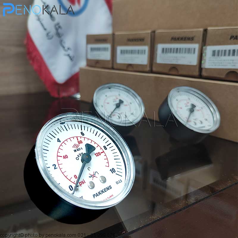 PAKKENS MG Series Pressure Gauge (1)