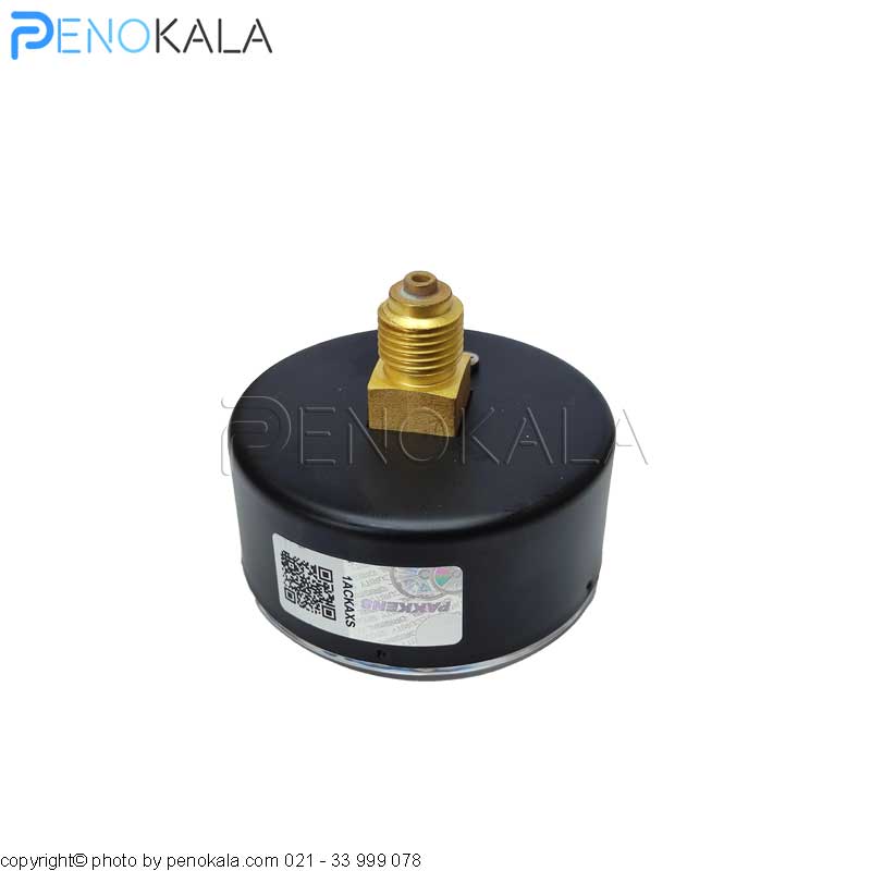 PAKKENS MG Series Pressure Gauge (1)