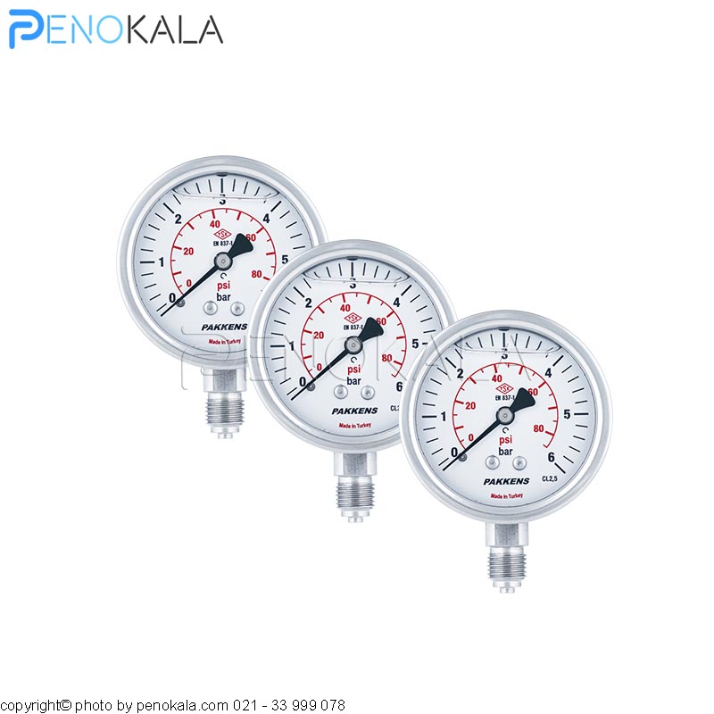 PAKKENS MG Stainless steel Series Pressure Gauge (2)