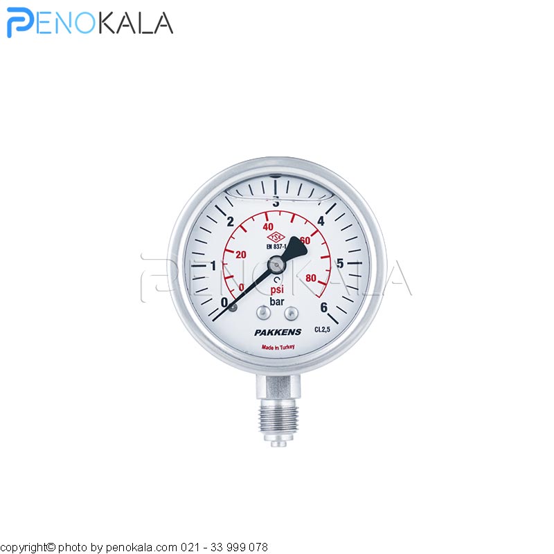 PAKKENS MG Stainless steel Series Pressure Gauge (2)