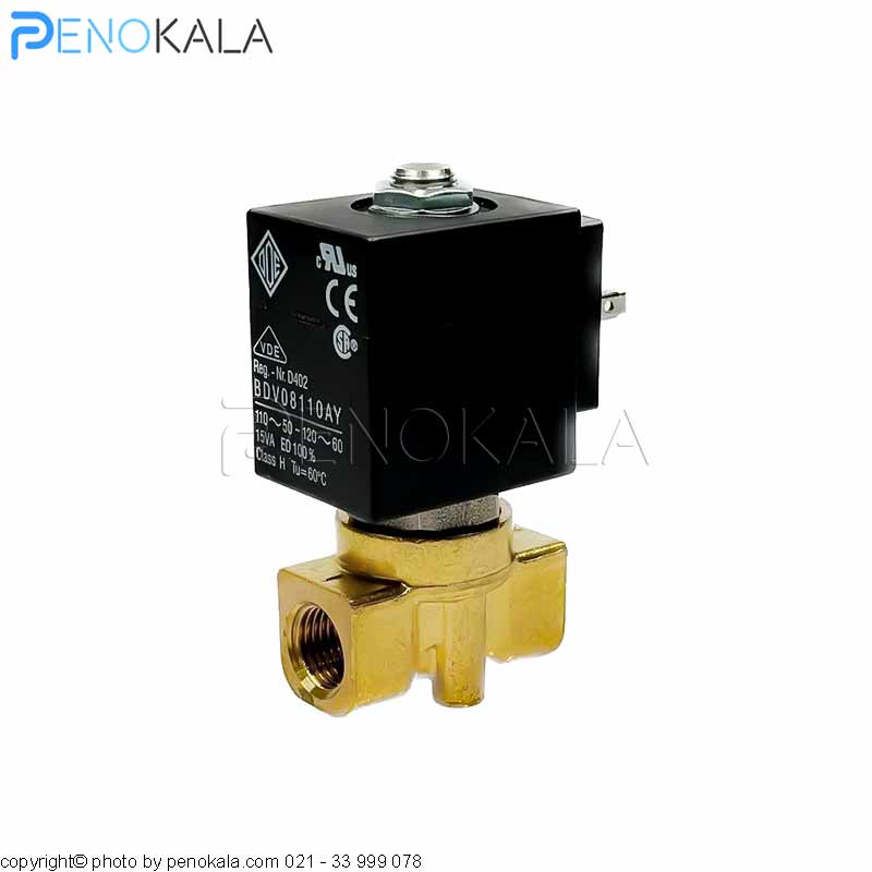 ODE 21A2K55 Needle Solenoid Valve (1)